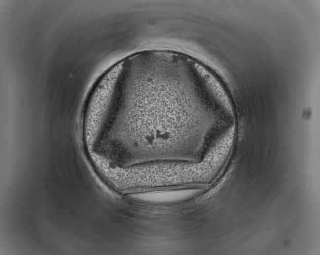 X0000097891517200804041258