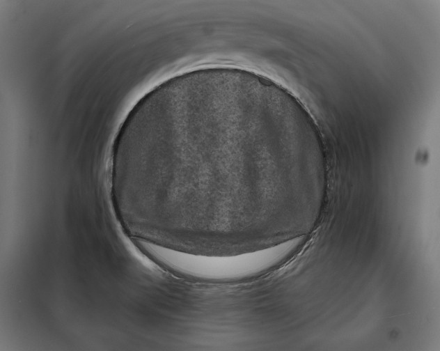 X0000097891519200804041258