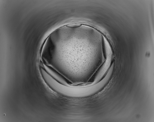 X0000097891520200804041258