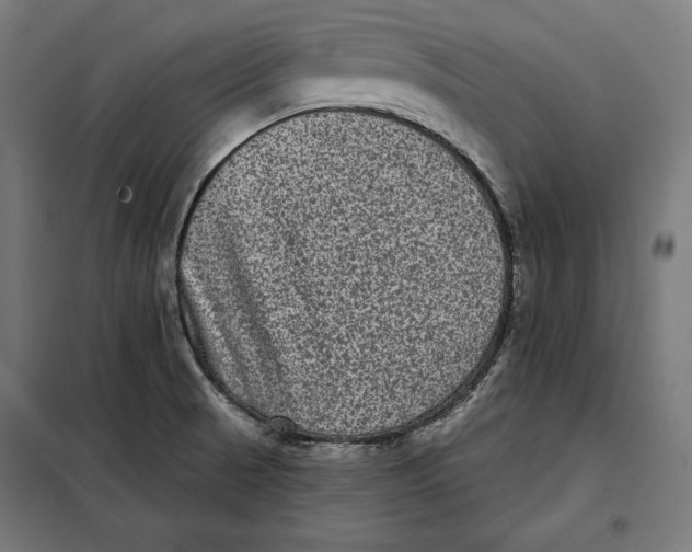 X0000097891521200804041259