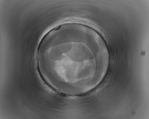 X0000097891522200804041259