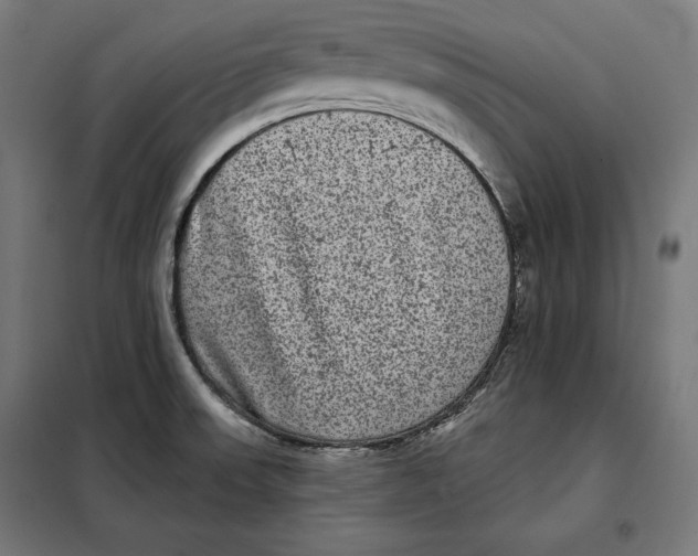 X0000097891523200804041259