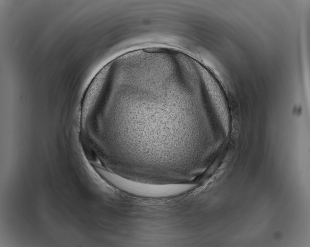 X0000097891524200804041259