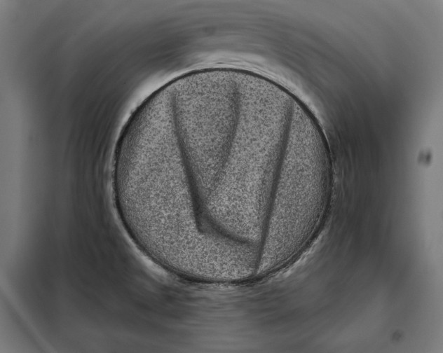 X0000097891525200804041259