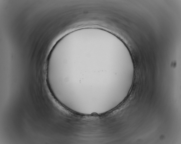 X0000097891526200804041259