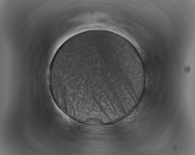 X0000097891527200804041259