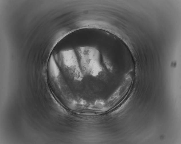 X0000097891529200804041259