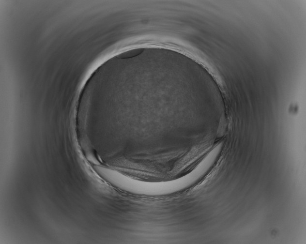 X0000097891530200804041259