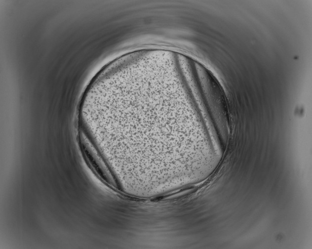 X0000097891531200804041259