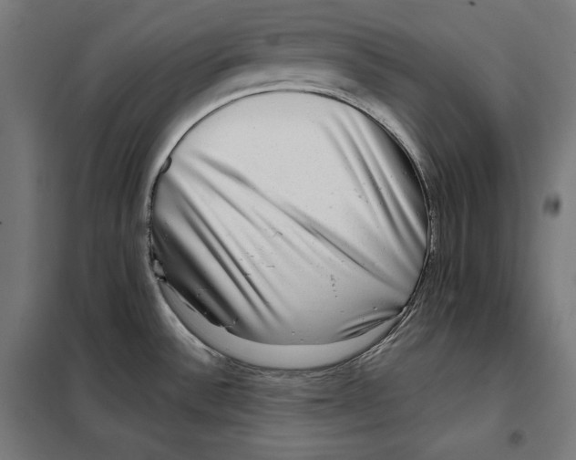 X0000097891532200804041259