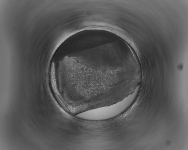 X0000097891533200804041259