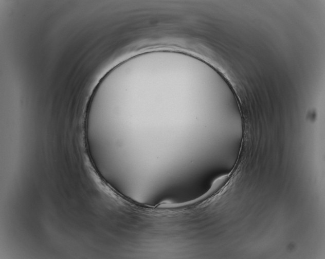 X0000097891534200804041259