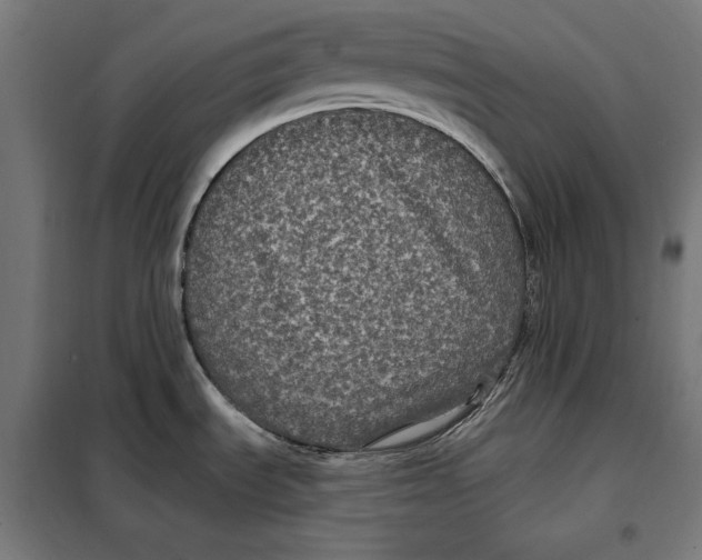 X0000097891535200804041259