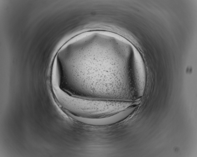 X0000097891536200804041259