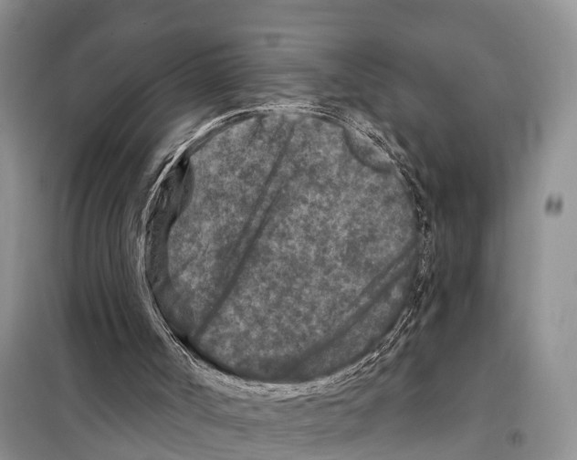 X0000097890002200804111030