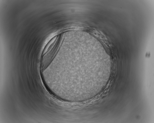 X0000097890003200804111030