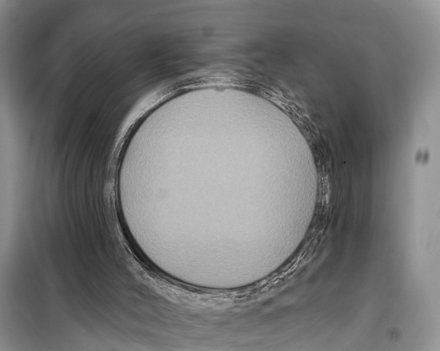 X0000097890004200804111030