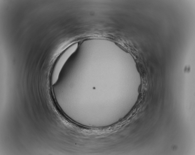 X0000097890005200804111030