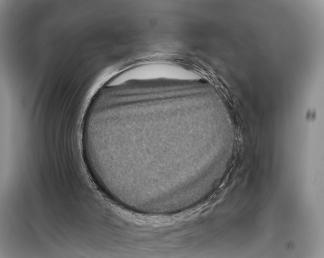 X0000097890006200804111030