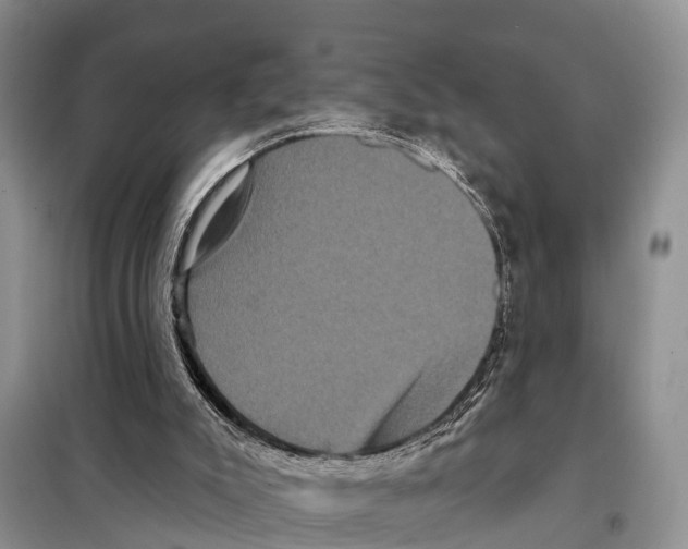 X0000097890007200804111030