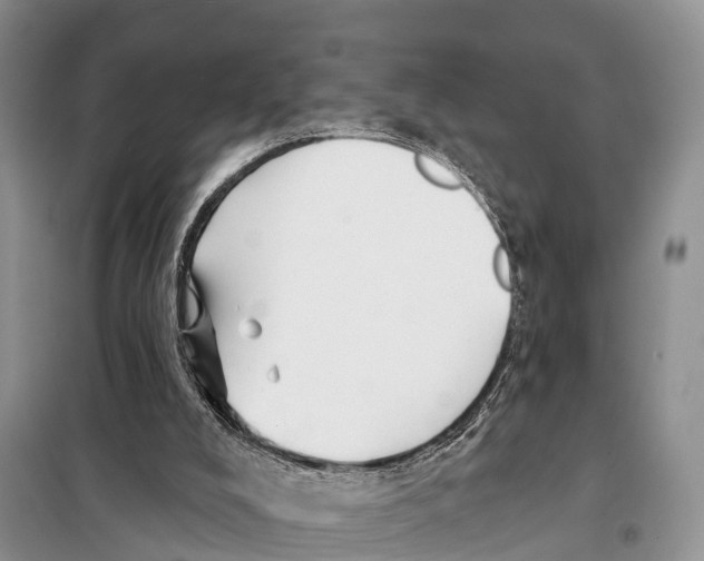 X0000097890008200804111030