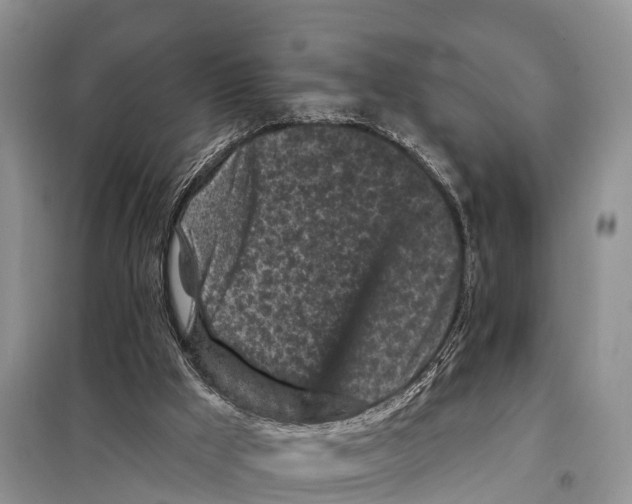 X0000097890009200804111030