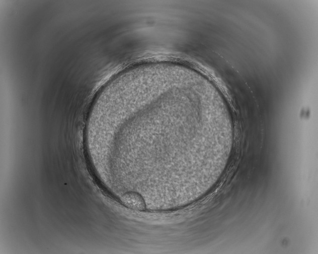 X0000097890010200804111030