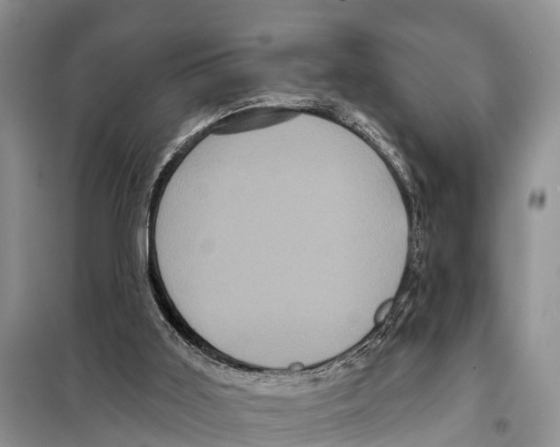 X0000097890011200804111030