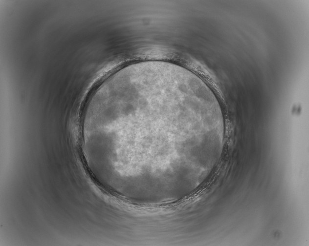 X0000097890012200804111030