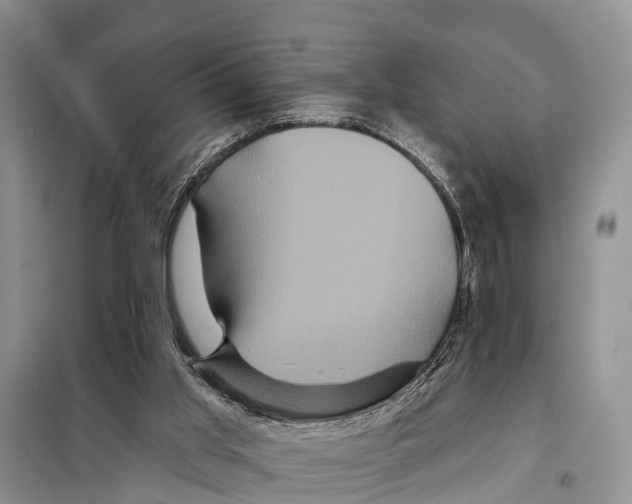 X0000097890013200804111030