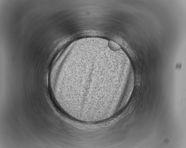 X0000097890014200804111030