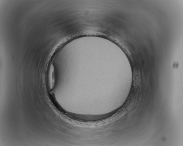 X0000097890015200804111030