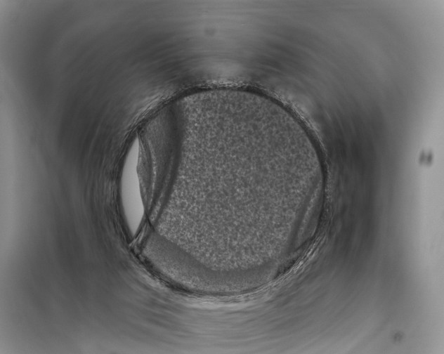 X0000097890017200804111030