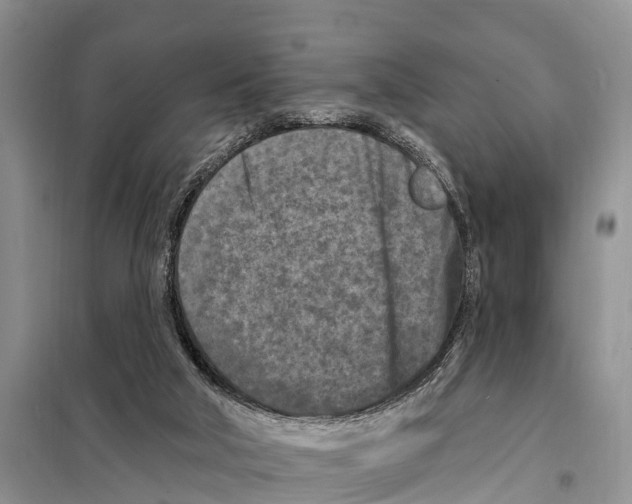 X0000097890018200804111030