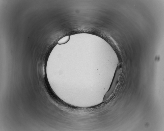 X0000097890020200804111030