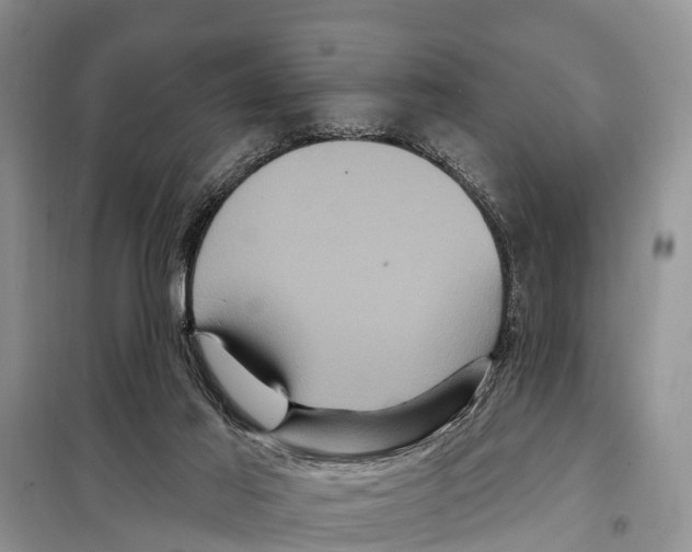 X0000097890021200804111030