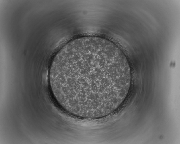 X0000097890024200804111030