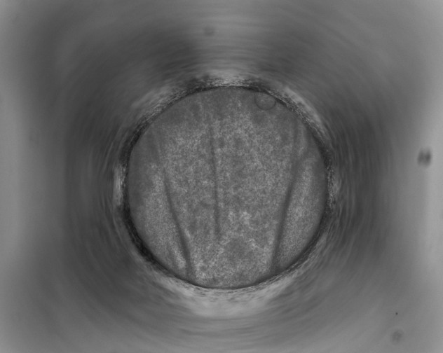 X0000097890026200804111030