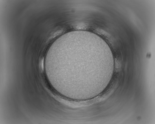 X0000097890028200804111030