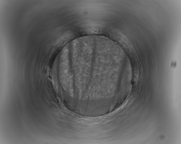 X0000097890029200804111030