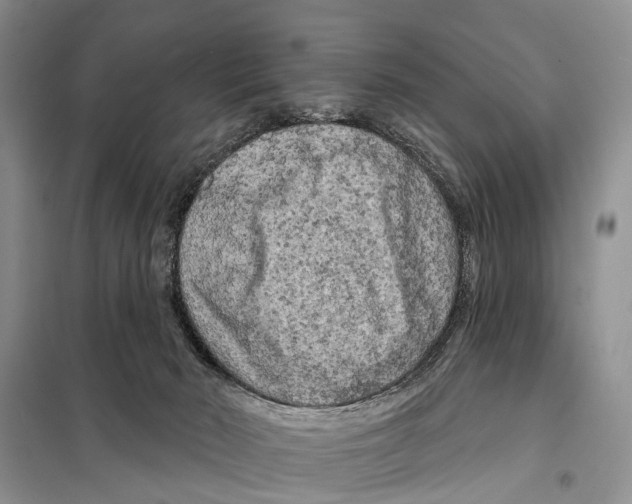 X0000097890030200804111030