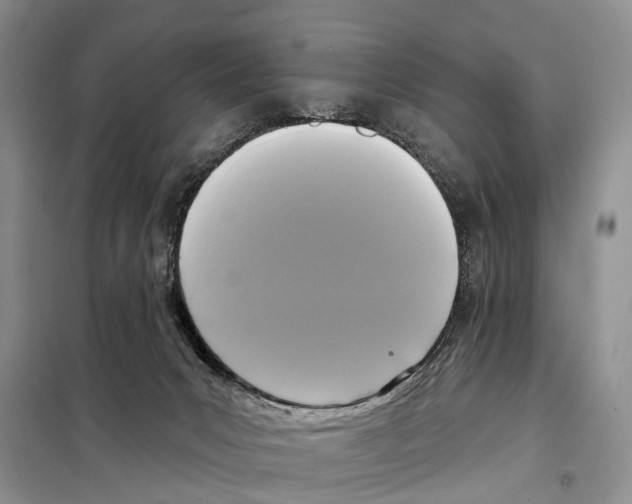 X0000097890031200804111030