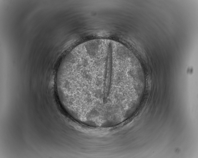 X0000097890032200804111030