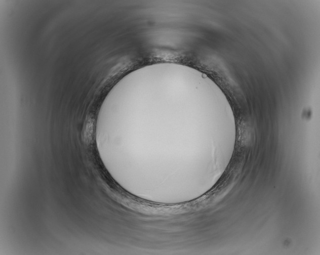 X0000097890036200804111030