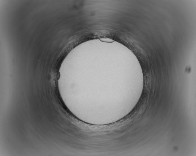 X0000097890038200804111030