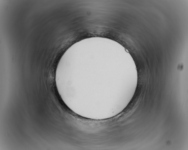 X0000097890040200804111030