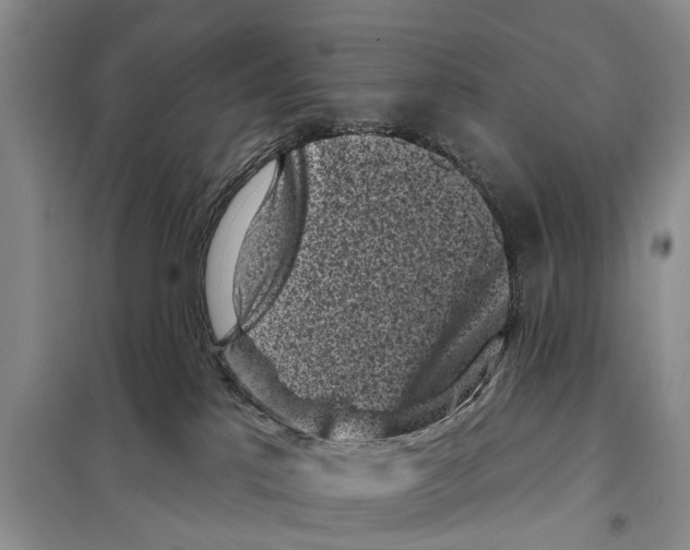 X0000097890041200804111030