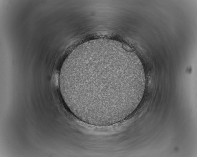 X0000097890042200804111030