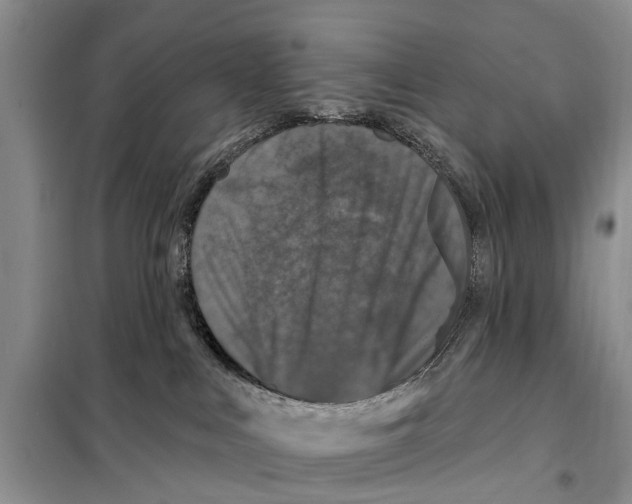 X0000097890043200804111030