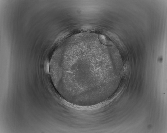 X0000097890046200804111030